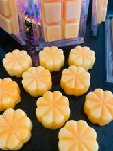 Load image into Gallery viewer, Honeysuckle & Sandalwood Individual Flower Melts (6)