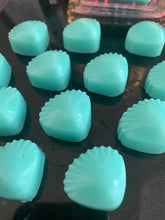 Load image into Gallery viewer, Cool Water individual shell melts (6)