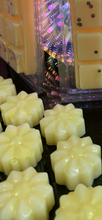 Load image into Gallery viewer, Ivory Patchouli individual wax melts (6)
